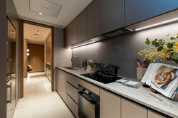Holland Village Way (D10), Condominium #520152471